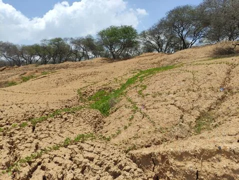The texture of dry muddy soil is light brown in color Stock Photos