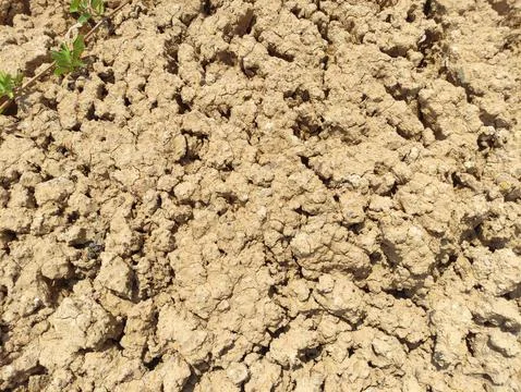 The texture of dry muddy soil is light brown in color Stock Photos