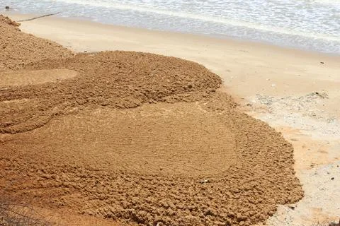 The texture of dry muddy soil is light brown in color Stock Photos