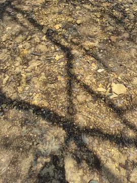 The texture of dry muddy soil is light brown in color Stock Photos