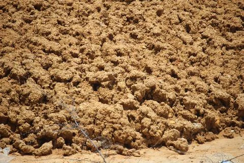 The texture of dry muddy soil is light brown in color Stock Photos