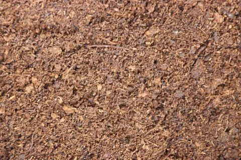 The texture of dry peat. Stock Photos