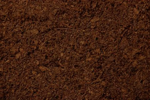 The texture of dry peat. Stock Photos