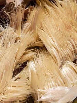 Texture of dry plants Stock Photos
