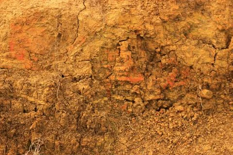 The texture of the dry sandy-clay soil of the cliff shore Stock Photos