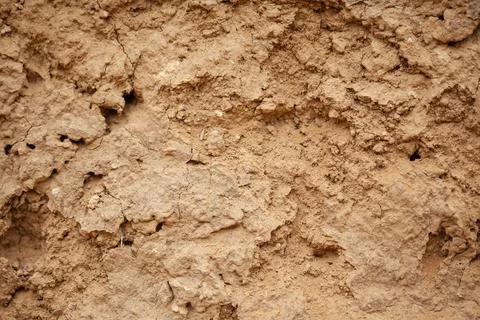 Texture of dry Soil inside a mine with holes made by insects. Stock Photos