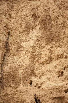 Texture of dry Soil inside a mine with holes made by insects. Stock Photos