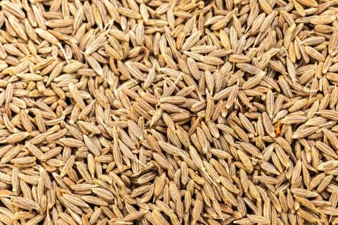 Texture of dry spices cumin Stock Photos