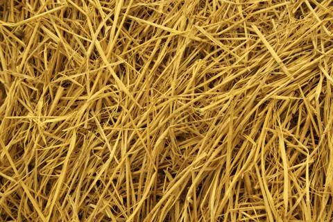 Texture of  dry straw Stock Photos