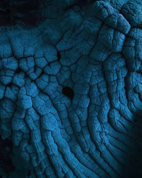 Texture of the earth Stock Footage 269809568