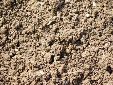 Texture of earth 스톡 사진