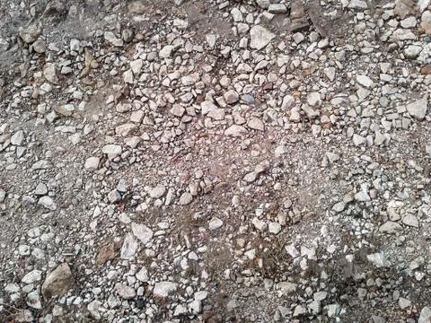 The texture of earth with stones Stock Photos