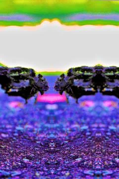 Texture effect of extreme close up of decomposed fur Stock Photos