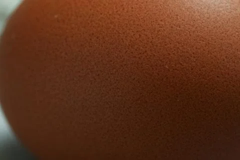 Texture egg raw close up chicken product Stock Photos