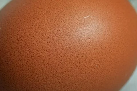 Texture egg raw close up chicken product Stock Photos