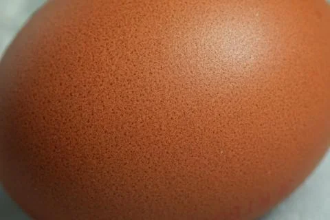 Texture egg raw close up chicken product Stock Photos
