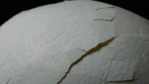A texture of an egg shell Stock Footage 87216419