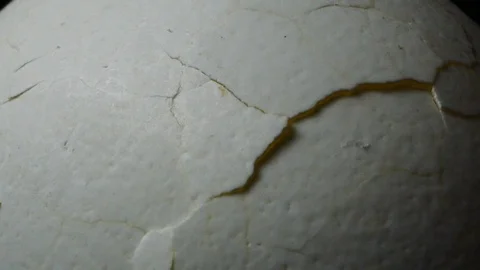 Egg Shell Texture Stock Video Footage | Royalty Free Egg Shell Texture ...
