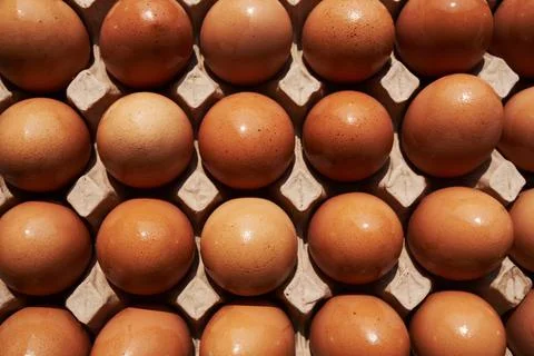 Texture of eggs in carton box. Stock Photos