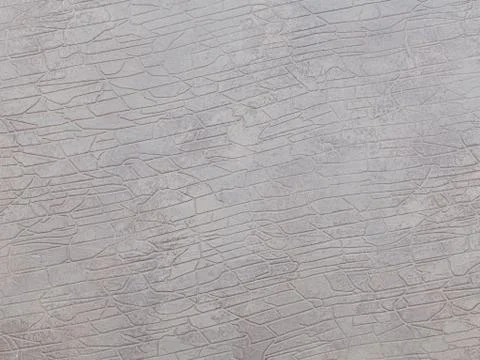 Texture elephant Foto stock