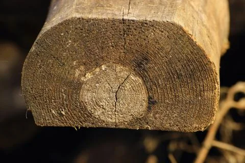 The texture of the end of the old logs Stock Photos