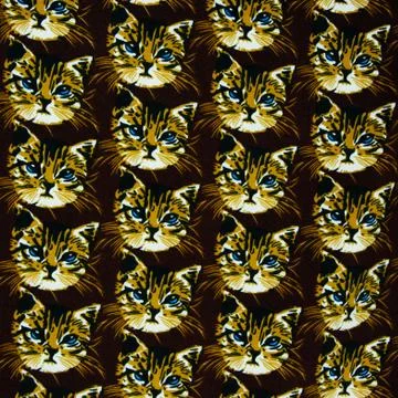 Texture fabric cat head Stock Photos