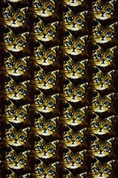 Texture fabric cat head Stock Photos