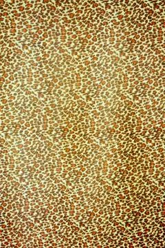 Texture fabric of Jaguar for background Stock Photos