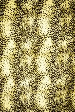 Texture fabric of Jaguar for background Stock Photos