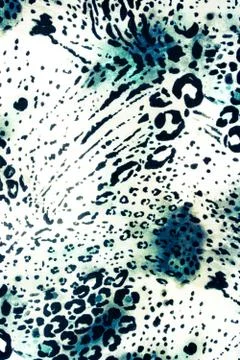 Texture fabric of Jaguar for background Stock Photos