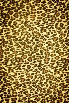 Texture fabric of Jaguar for background Stock Photos