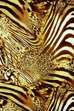 Texture fabric of leopard skin for background Stock Photos