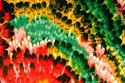 Texture Fabric pattern of the feathers Stock Photos