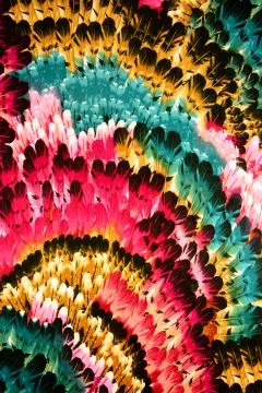 Texture Fabric pattern of the feathers Foto stock