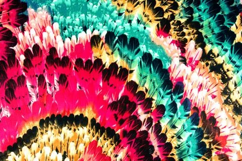 Texture Fabric pattern of the feathers Stock Photos