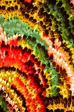 Texture Fabric pattern of the feathers Stock Photos