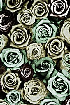 Texture fabric of rose for background Stock Photos