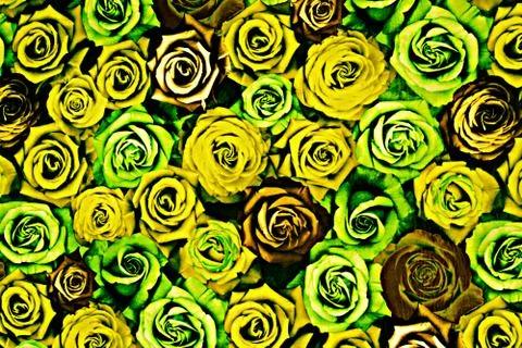 Texture fabric of rose for background Stock Photos