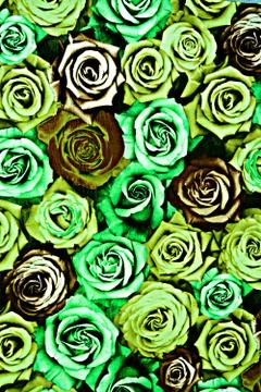 Texture fabric of rose for background Stock Photos