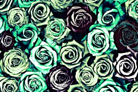 Texture fabric of rose for background Stock Photos