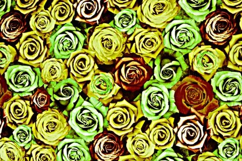 Texture fabric of rose for background Stock Photos