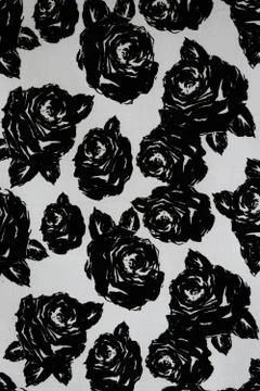Texture fabric of rose black for background Stock Illustration