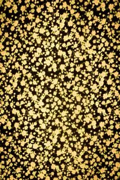 Texture fabric of Small flowers for background Stock Photos