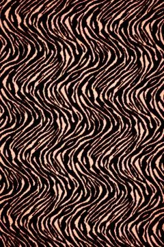 Texture of fabric stripes tiger for background Stock Illustration