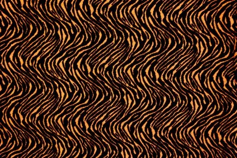 Texture of fabric stripes tiger for background. Stock Illustration