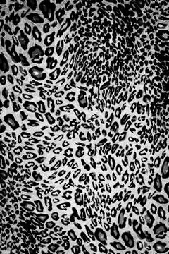 Texture fabric wild animal pattern background Stock Photos