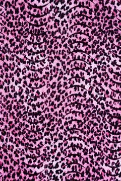 Texture fabric wild animal pattern background Stock Photos
