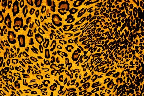 Texture fabric wild animal pattern background Stock Photos