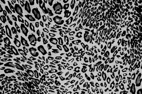 Texture fabric wild animal pattern background Stock Photos