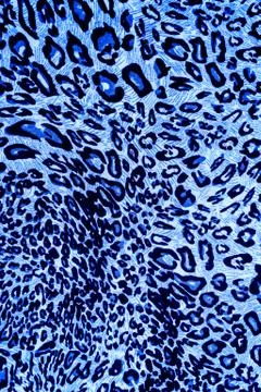 Texture fabric wild animal pattern background Stock Photos